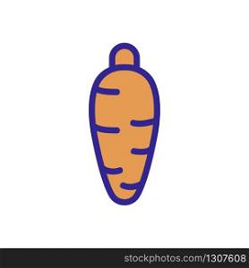 carrot fruit icon vector. carrot fruit sign. color isolated symbol illustration. carrot fruit icon vector outline illustration
