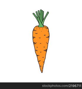 Carrot in doodle style isolated on white background.