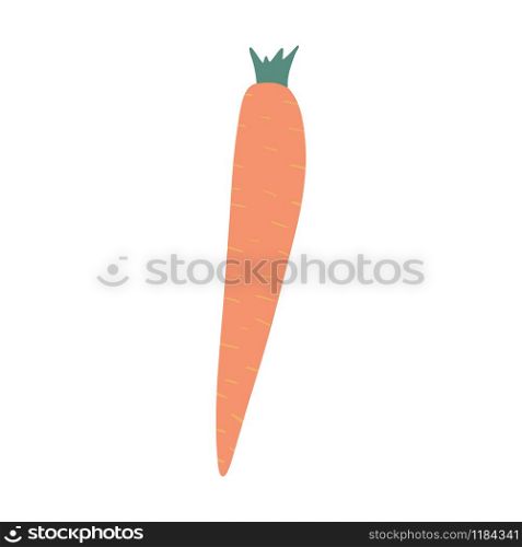 Carrot in doodle style isolated on white background. Hand drawn vegetable. Vegetarian healthy food. Fresh organic ingredient. Vector illustration. Carrot in doodle style isolated on white background. Hand drawn vegetable.