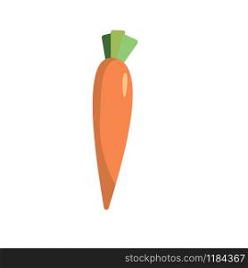 Carrot in flat design style isolated on white background. Hand drawn vegetable. Vegetarian healthy food. Fresh organic ingredient. Vector illustration. Carrot in flat design style isolated on white background. Hand drawn vegetable.