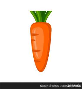 Carrot on a white background. Vegetables, vitamins, healthy food. Diet, vegetarianism. Vector