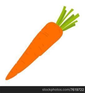 Carrot root vegetable isolated. Vector vegetarian food, harvest of crop, farming and agriculture concept fresh veggie with green leaves, healthy organic natural meal. Carrot Vegetable Isolated. Vector Vegetarian Food