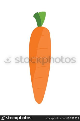 Carrot vector in flat style design. Vegetable illustration for conceptual banners, icons, app pictogram, infographic, and logotype elements. Isolated on white background. . Carrot Vector Illustration in Flat Style Design.