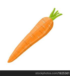 Carrot vegetable isolated on white. vector illustration in flat style. Carrot vegetable isolated on white.