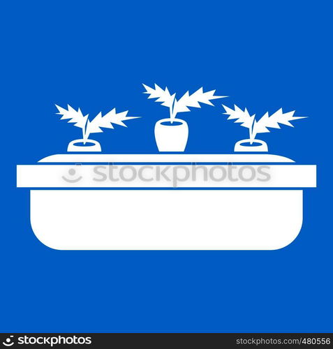 Carrots in a wooden pot icon white isolated on blue background vector illustration. Carrots in a wooden pot icon white