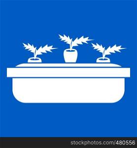 Carrots in a wooden pot icon white isolated on blue background vector illustration. Carrots in a wooden pot icon white