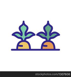 carrots in the garden icon vector. carrots in the garden sign. color isolated symbol illustration. carrots in the garden icon vector outline illustration