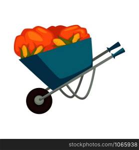 Cart of farmer with harvest products organic vegetables placed on wheelbarrow for transportation and preserving. Metal carriage for aubergine, tomatoes and peppers isolated on vector illustration. Cart of farmer with harvest products organic vegetables placed on wheelbarrow for transportation and preserving.