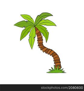 cartoom hand draw coconut palm tree