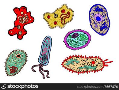 Cartoon amebas or microbial lifeforms set for science, biology, medicine or education design