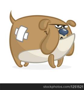 Cartoon angry and funny bulldog illustration. Vector isolated on white