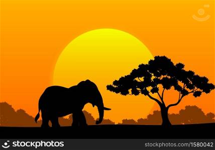 Cartoon animal elephant in the africa