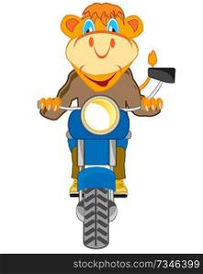 Cartoon animal on motorcycle on white background is insulated. Vector illustration comic animal for meat loaf of the motorcycle