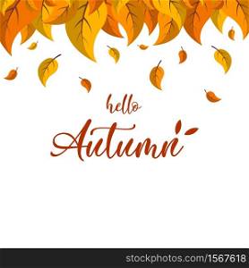 Cartoon autumn leaves. Hello Autumn lettering on the white background, vector illustration.