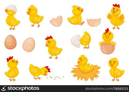 Cartoon baby chickens, easter cute little chicks. Funny newborn chicken in eggshell, chick hatching from egg, farm bird animal vector set. Cute yellow character on nest, eating seed