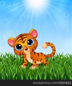 Cartoon baby tiger in the grass on a background of bright sunshine