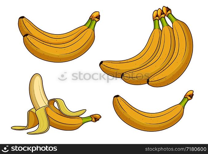 Cartoon banana fruits. Bunches of fresh bananas vector illustration. Banana healthy ripe, vegetarian and freshness fruit. Cartoon banana fruits. Bunches of fresh bananas vector illustration