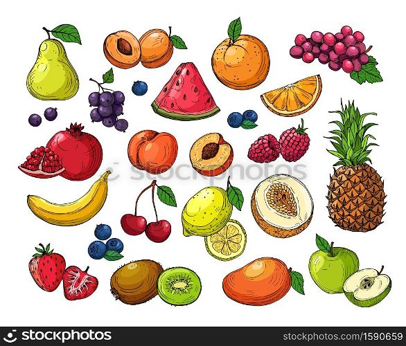 Cartoon berries and fruits. Pineapple grapes, pear apple, orange mango, melon kiwi, banana lemon. Vector isolated set. Illustration of watermelon and strawberry, juicy fruit. Cartoon berries and fruits. Pineapple grapes, pear apple, orange mango, melon kiwi, banana lemon. Vector isolated set