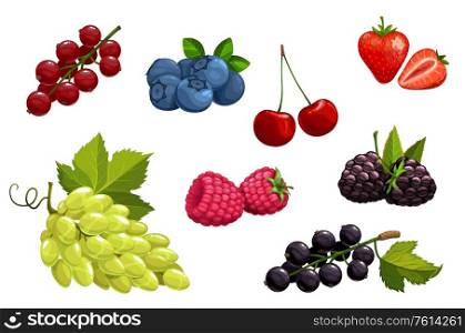 Cartoon berries vector strawberry, bunch of white grape and blackberry, raspberry, cherry, black and red currant with blueberry. Sweet juicy berries, vegan, vegetarian and raw foodist nutrition icons. Cartoon berries vector vegetarian nutrition set