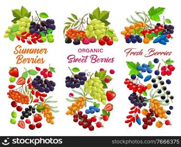 Cartoon berries vector strawberry, raspberry, cherry, black or red currant with blueberry. Bunch of white grape and blackberry, sea buthorn, honeysuckle and bird cherry, black chokeberry fresh berries. Cartoon berries vector sweet juicy garden crop set