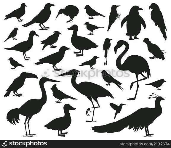 Cartoon birds silhouettes, black pigeon, toucan and parrot characters. Wildlife, woods or city birds, sparrow and seagull vector illustration set. Birds silhouettes toucan and pigeon black. Cartoon birds silhouettes, black pigeon, toucan and parrot characters. Wildlife, woods or city birds, sparrow and seagull vector illustration set. Birds silhouettes