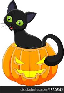 Cartoon black cat sitting in Halloween pumpkin
