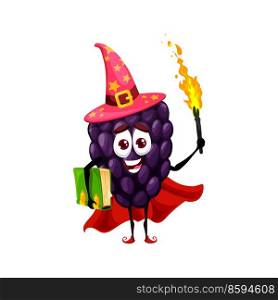 Cartoon blackberry or bramble magician, wizard character with torch. Funny vector berry wiz in witch hat and spellbook. Ripe garden plant sorcerer with smiling face, healthy mulberry astronomer. Cartoon blackberry or bramble magician, wizard