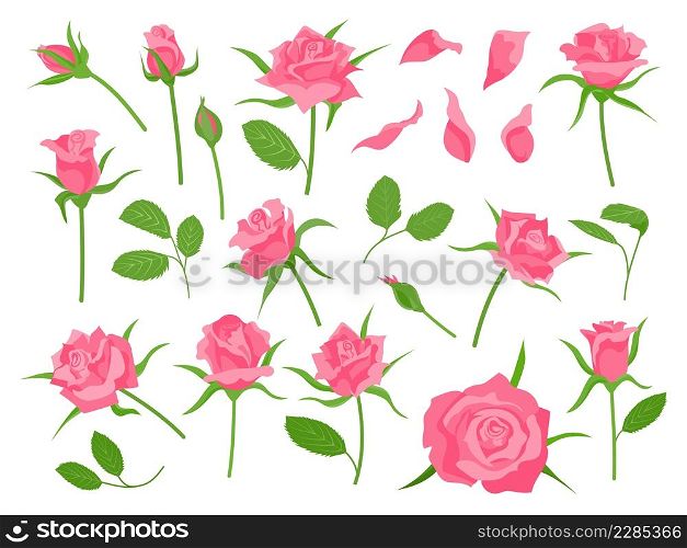 Cartoon blooming pink rose flower, green leaf, petal and bud. Classic floral wedding decoration. Roses plant. Romantic flowers vector set of spring floral, flower rose. Cartoon blooming pink rose flower, green leaf, petal and bud. Classic floral wedding decoration. Roses plant. Romantic flowers vector set