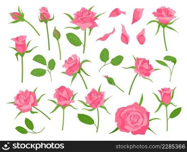 Cartoon blooming pink rose flower, green leaf, petal and bud. Classic floral wedding decoration. Roses plant. Romantic flowers vector set of spring floral, flower rose. Cartoon blooming pink rose flower, green leaf, petal and bud. Classic floral wedding decoration. Roses plant. Romantic flowers vector set