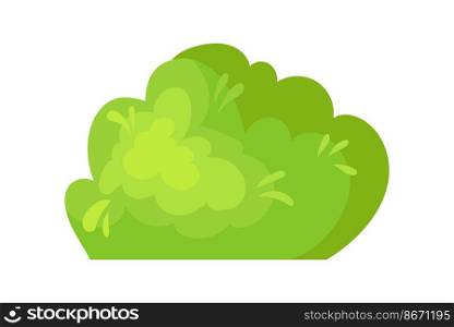 Cartoon boxwood. Ornamental plants for garden, vector graphic design isolated on white background. Cartoon boxwood. Ornamental plants for garden, vector graphic design