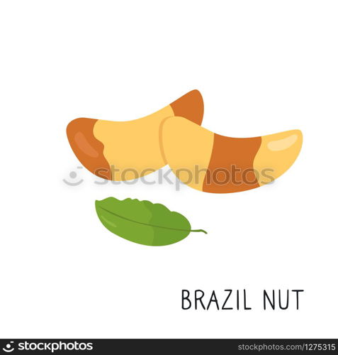 Cartoon Brazil nut isolated on white background.. Cartoon Brazil nut isolated on white background