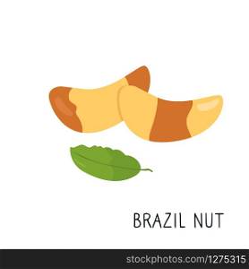 Cartoon Brazil nut isolated on white background.. Cartoon Brazil nut isolated on white background