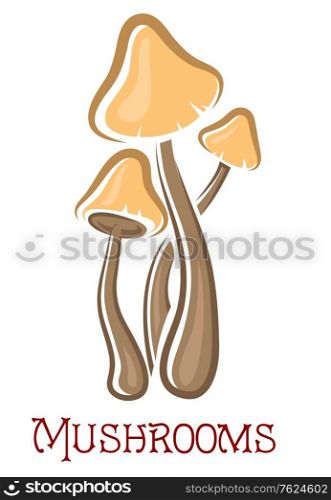 Cartoon brown and yellow forest mushrooms with text isolated on white