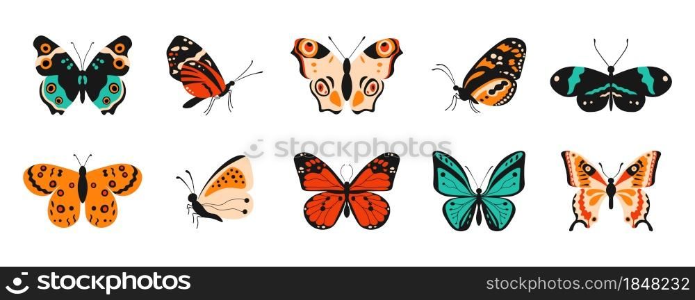 Cartoon butterflies. Colorful spring and summer flying insects with pattern elements on wings. Vector isolated set cute butterflies white background. Cartoon butterflies. Colorful spring and summer flying insects with pattern elements on wings. Vector isolated set
