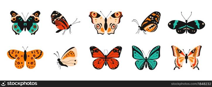 Cartoon butterflies. Colorful spring and summer flying insects with pattern elements on wings. Vector isolated set cute butterflies white background. Cartoon butterflies. Colorful spring and summer flying insects with pattern elements on wings. Vector isolated set