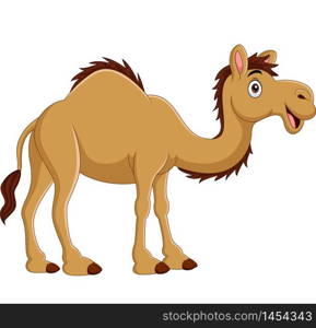 Cartoon camel isolated on white background