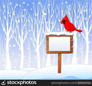Cartoon cardinal bird on the blank sign with winter background