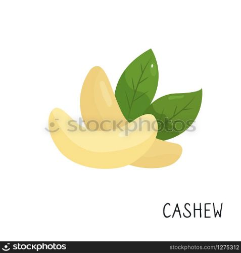 Cartoon cashew isolated on white background.. Cartoon flat cashew isolated on white background