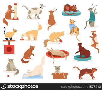 Cartoon cats. Cute kitten characters, funny fluffy playful cats, pedigree breeds pets, adorable kitty pets vector illustration icons set. Kitten and cat, pet animal breed, fluffy domestic feline. Cartoon cats. Cute kitten characters, funny fluffy playful cats, pedigree breeds pets, adorable kitty pets vector illustration icons set