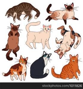 Cartoon cats. Cute kittens different colours, funny lazy cat. Adorable playful pets, home happy simple fun comic animals vector set. Cartoon cats. Cute kittens different colours, funny lazy cat. Adorable playful pets, home animals vector set