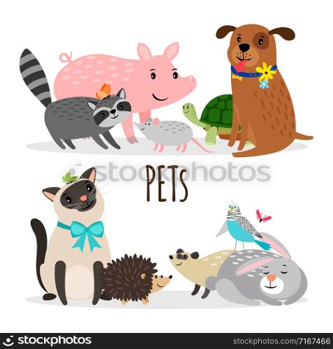 Cartoon character groups of vector pets isolated on white background. Illustration of pets animal, kitty and domestic turtle. Cartoon character groups of vector pets isolated on white background
