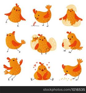 Cartoon chicken. Egg cute yellow little farm birds funny chick vector characters collection. Chicken young yellow, cute character in eggshell illustration. Cartoon chicken. Egg cute yellow little farm birds funny chick vector characters collection