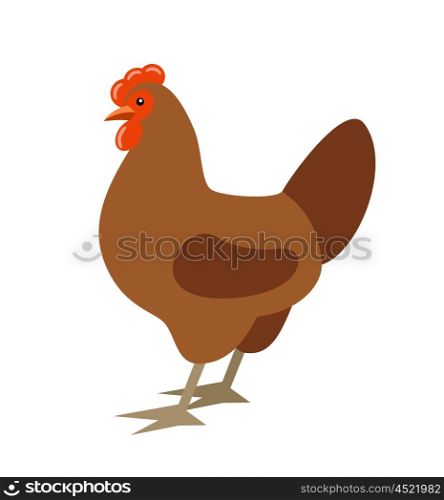 Cartoon chicken. Farmer isolated bird. Vector