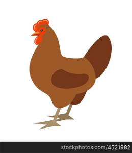 Cartoon chicken. Farmer isolated bird. Vector
