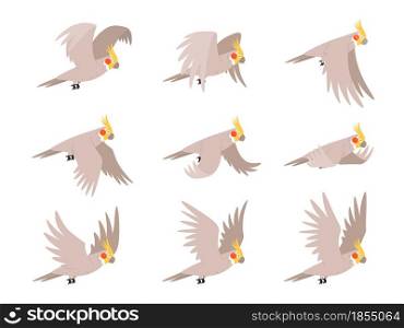 Cartoon cockatoo parrot fly animation frames sequence. Animated sprites loop of tropical bird flying in sky. Parrot wing vector motion cycle. Exotic adorable fauna character flight