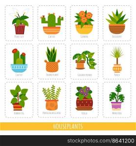 Cartoon collection of the different houseplants. Vector set of colorful cards for the learning of plant species