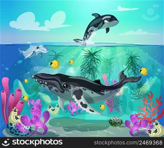 Cartoon colorful sea life background with gray whale dolphin orca fishes and marine plants vector illustration. Cartoon Colorful Sea Life Background