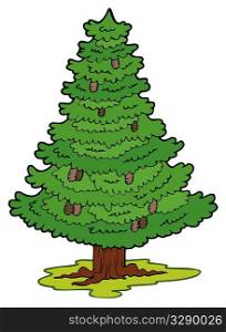 Cartoon coniferous tree