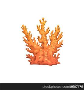 Cartoon coral branch, underwater vector plant with pimples on orange branches. Sea reef object, undersea tropical water life, ocean coral marine flora isolated design element. Cartoon coral branch, underwater vector plant