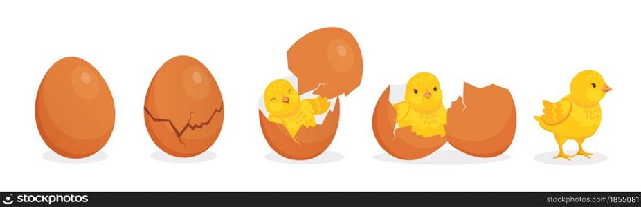 Cartoon cute baby chicken hatch from egg stages. Cracked eggshell and newborn yellow chick. Easter farm bird character birth vector concept. Yellow baby character appearing from shell